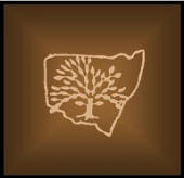 BROWN LOGO